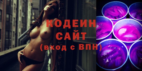 твердый Гусев