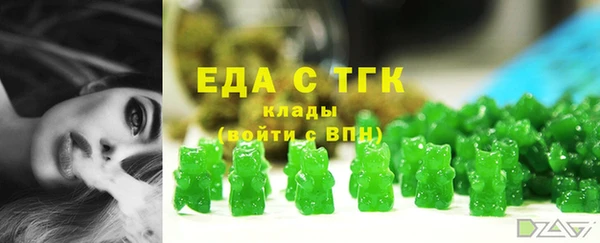 твердый Гусев