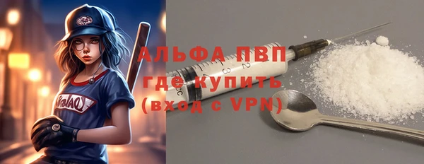твердый Гусев