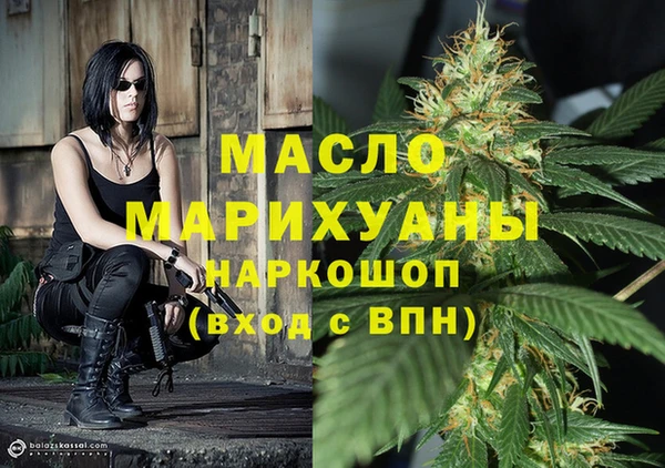 твердый Гусев