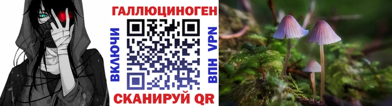 Псилоцибиновые грибы мицелий  Донецк 