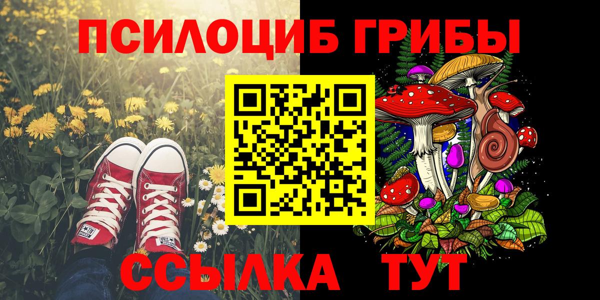 Псилоцибиновые грибы Psilocybine cubensis Донецк