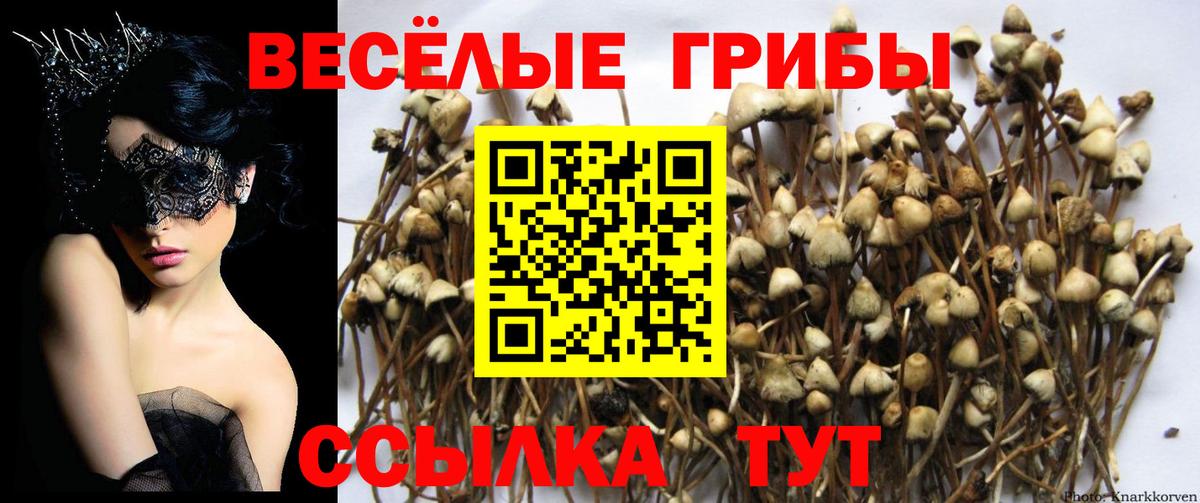 Галлюциногенные грибы GOLDEN TEACHER  Вход с VPN  Донецк 