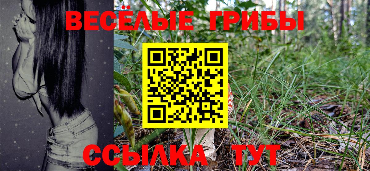 Псилоцибиновые грибы Psilocybe Донецк