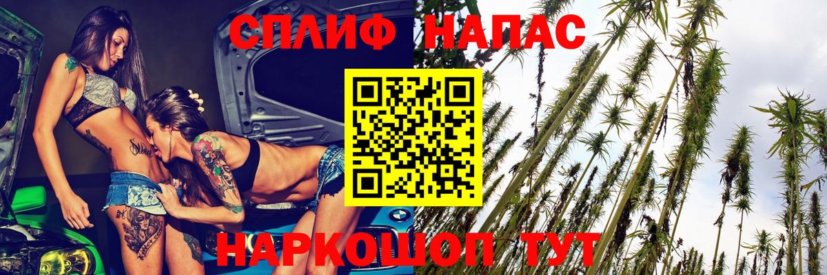 Бошки марихуана план  Вход с VPN  Шишки марихуана план  Конопля OG Kush  Марихуана White Widow  Донецк 